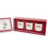 SCATOLA 3 CANDELE “LA GIOSTRA DI AMELIE”