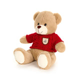 ORSACCHIOTTO PELUCHE “BEAR WONDERLAND “