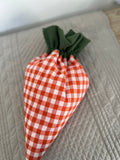 CAROTA PORTA OVETTI